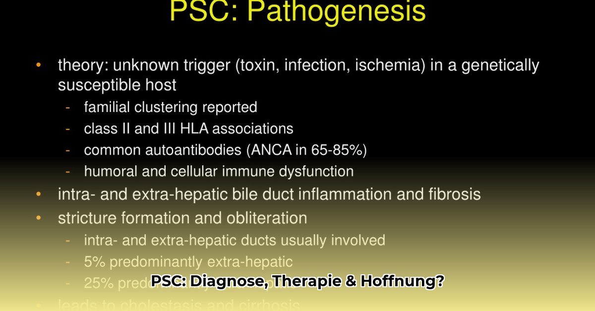 psc-erkrankung